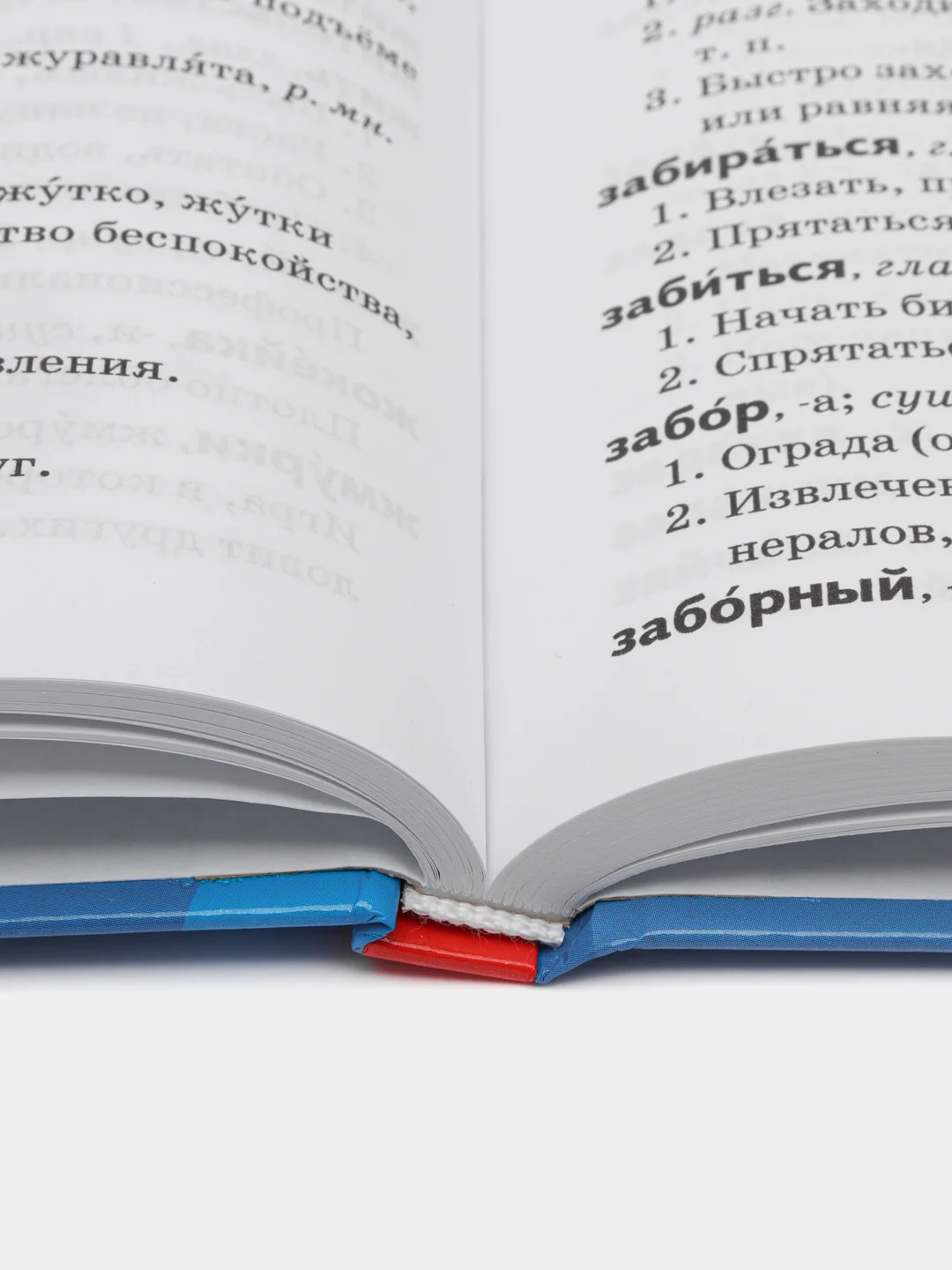 Орфографический и толковый словарь школьника