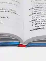 Орфографический и толковый словарь школьника