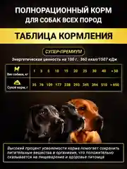 Корм сухой для собак крупных пород с индейкой, 10 кг+ 2 кг в подарок