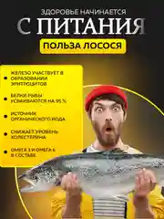 Сухой корм для собак с лососем 20 кг супер премиум