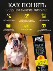 Сухой корм для собак с лососем 20 кг супер премиум