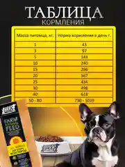 Сухой корм для собак с лососем 20 кг супер премиум