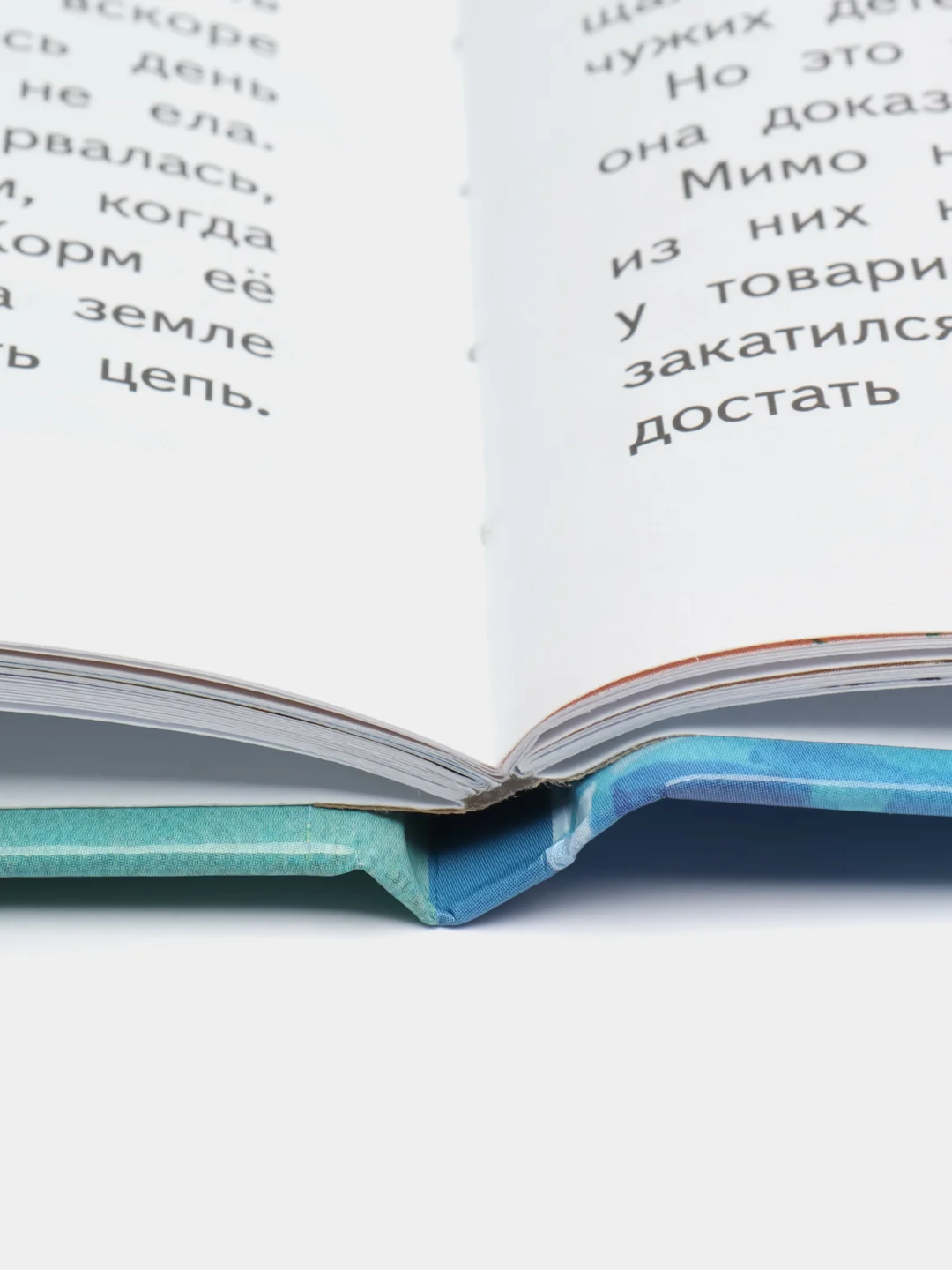 Фомка  белый медвежонок. В. Чаплиной. Библиотека школьника