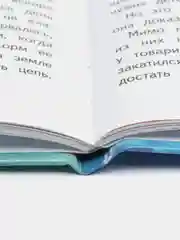Фомка  белый медвежонок. В. Чаплиной. Библиотека школьника