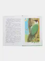 Синичкин календарь В. Бианки. Библиотека школьника