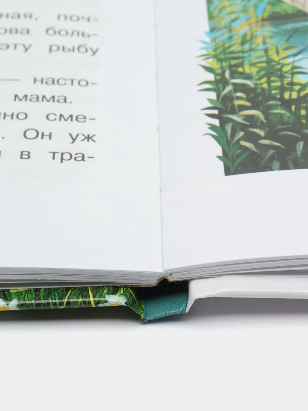 Лесной голосок Г. Скребицкого. Библиотека школьника