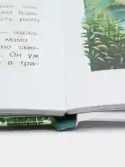 Лесной голосок Г. Скребицкого. Библиотека школьника