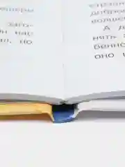 Как домовёнок Кузька звёзды спасал. Библиотека школьника