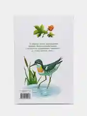 Тайна ночного леса В. Бианки. Библиотека школьника