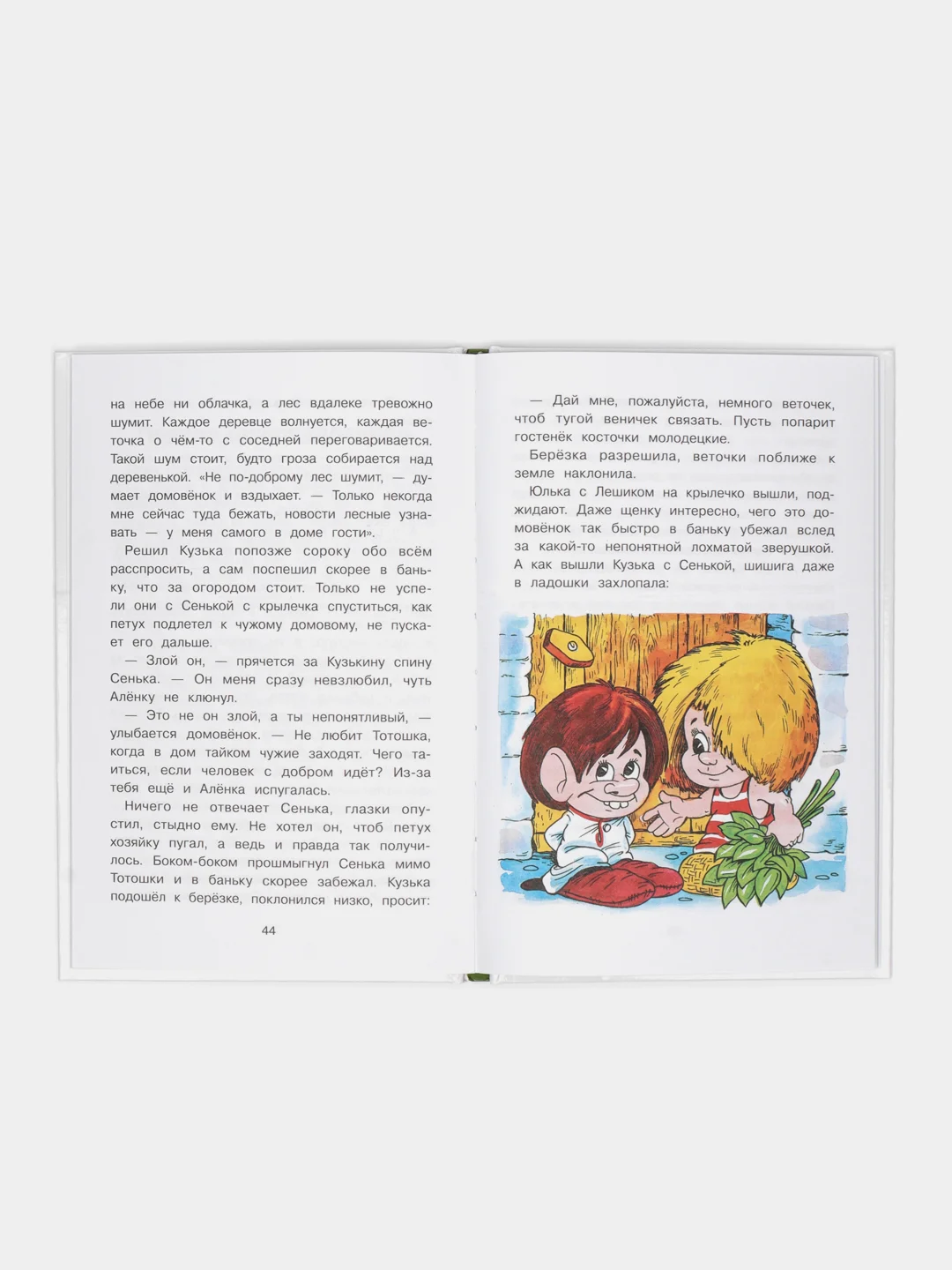Домовёнок Кузька и проказник Сенька. Библиотека школьника