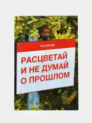 Коралловый меланж открытки большие (10*15 см). Открытка с текстом для мини подарков