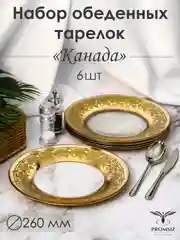Тарелки обеденные, подарочный набор 6 шт., 26 см, золото PROMSIZ коллекция Канада