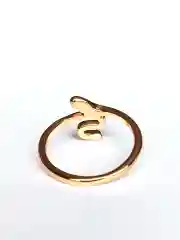 Кольцо Змея
