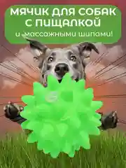 Зеленый игрушка для собак "Мяч-пищалка", массажная, с колючками