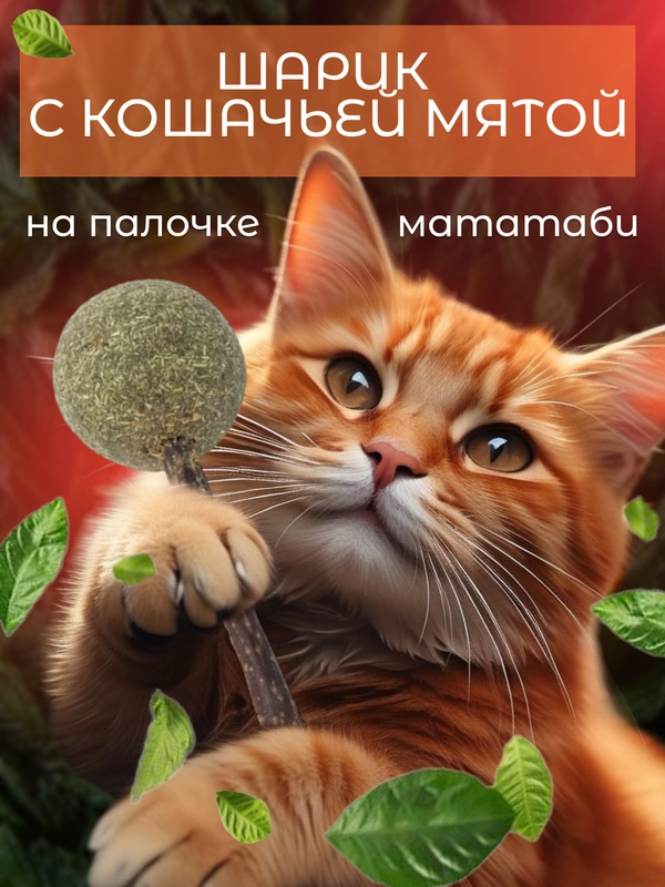 Кошачья мята шарик, лакомство для кошек