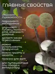 Кошачья мята шарик, лакомство для кошек