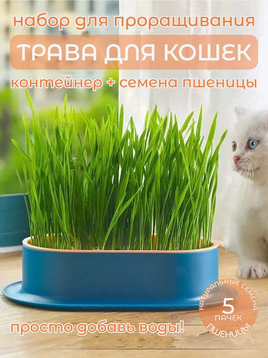 Синий миска для выращивания травы, для кошек, проращиватель травы