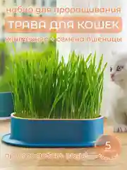 Синий миска для выращивания травы, для кошек, проращиватель травы