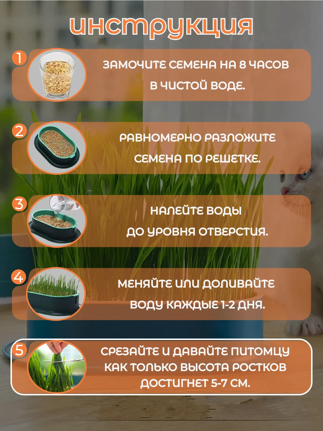 Синий миска для выращивания травы, для кошек, проращиватель травы