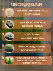 Синий миска для выращивания травы, для кошек, проращиватель травы