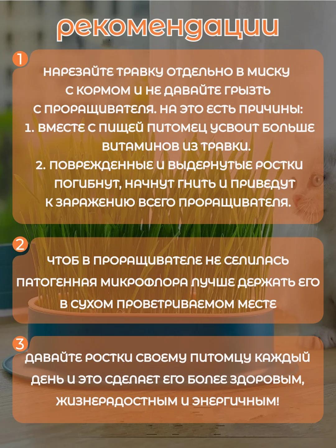 Синий миска для выращивания травы, для кошек, проращиватель травы