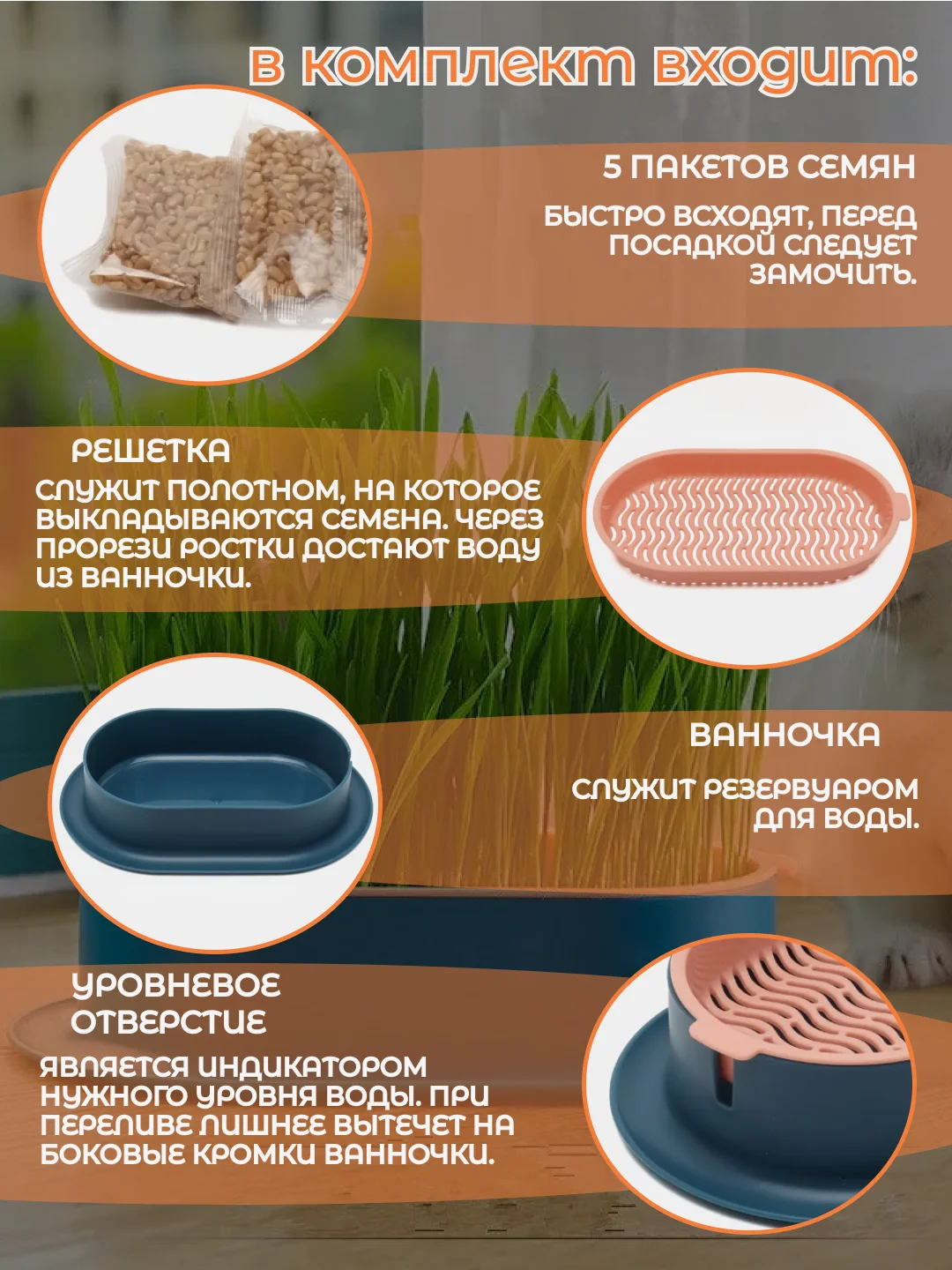 Синий миска для выращивания травы, для кошек, проращиватель травы