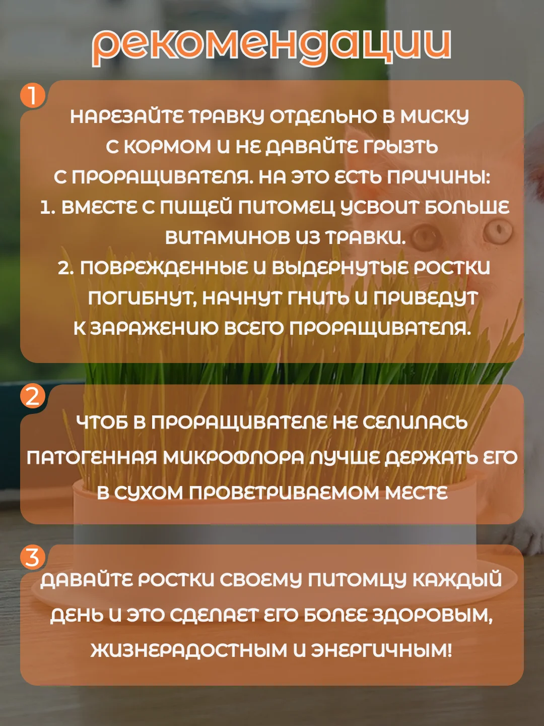 Зеленый миска для выращивания травы, для кошек, проращиватель травы
