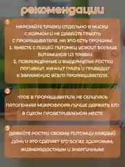 Зеленый миска для выращивания травы, для кошек, проращиватель травы