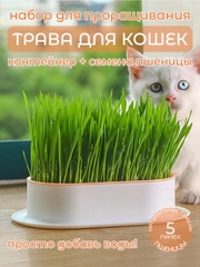 Миска для выращивания травы, для кошек, проращиватель травы