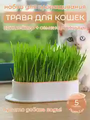 Розовый миска для выращивания травы, для кошек, проращиватель травы