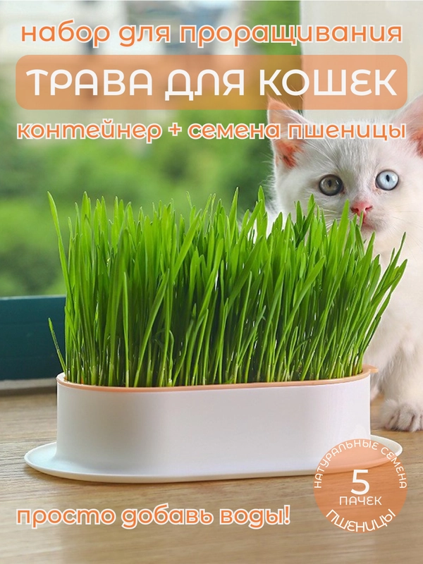 Миска для выращивания травы, для кошек, проращиватель травы