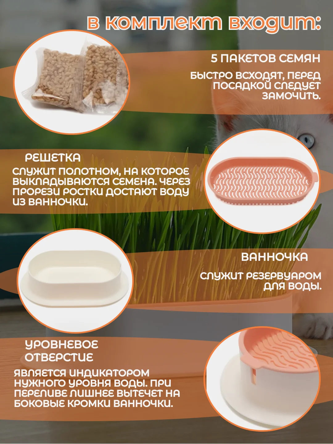 Зеленый миска для выращивания травы, для кошек, проращиватель травы