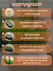 Зеленый миска для выращивания травы, для кошек, проращиватель травы