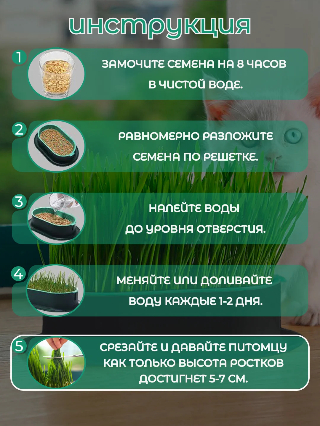 Зеленый миска для выращивания травы, для кошек, проращиватель травы