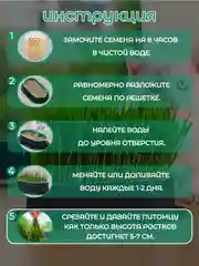 Зеленый миска для выращивания травы, для кошек, проращиватель травы