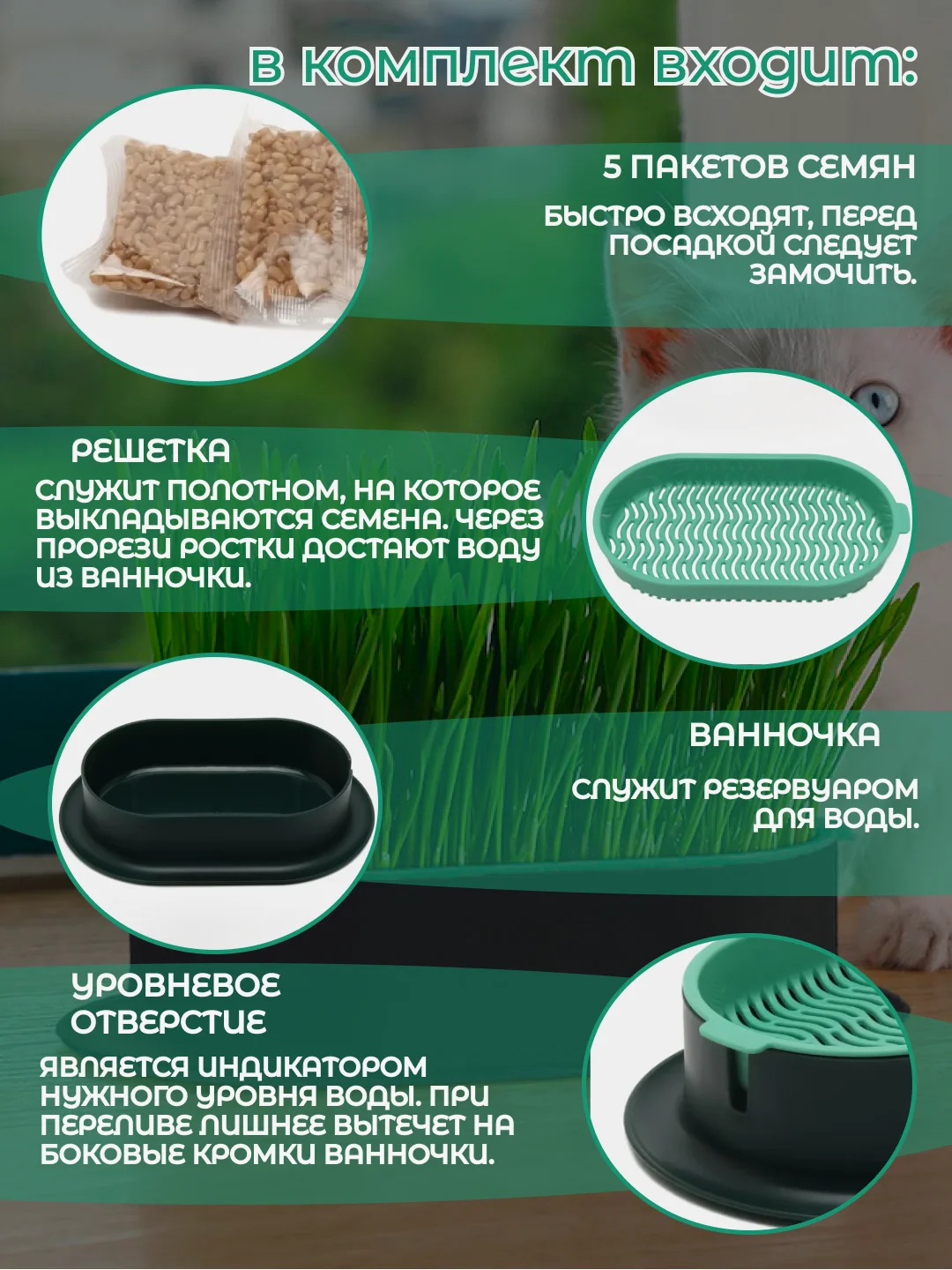 Зеленый миска для выращивания травы, для кошек, проращиватель травы