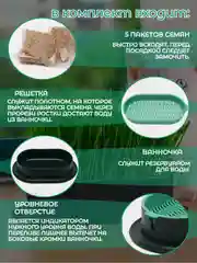 Зеленый миска для выращивания травы, для кошек, проращиватель травы