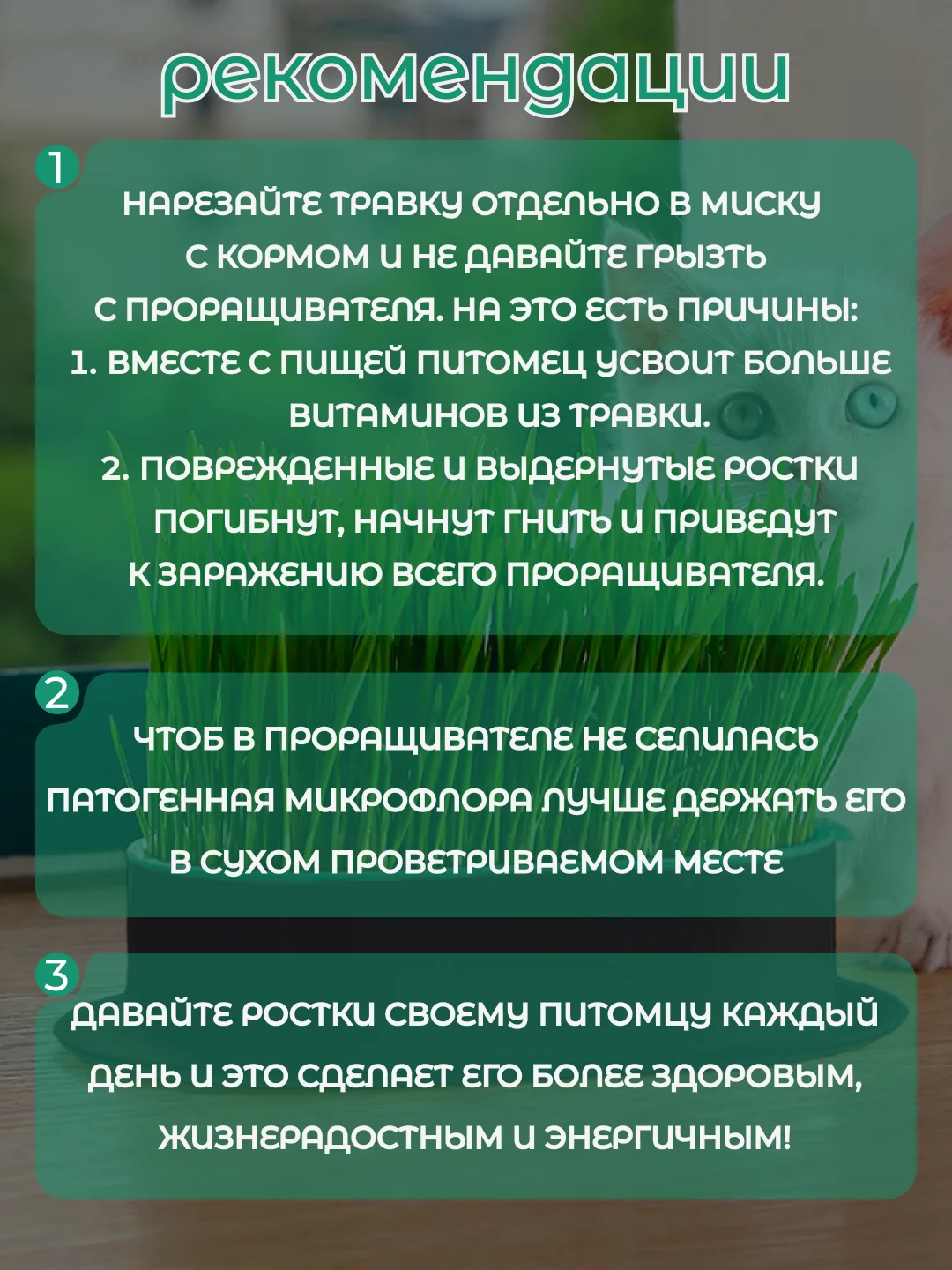 Зеленый миска для выращивания травы, для кошек, проращиватель травы