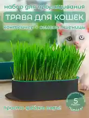 Зеленый миска для выращивания травы, для кошек, проращиватель травы