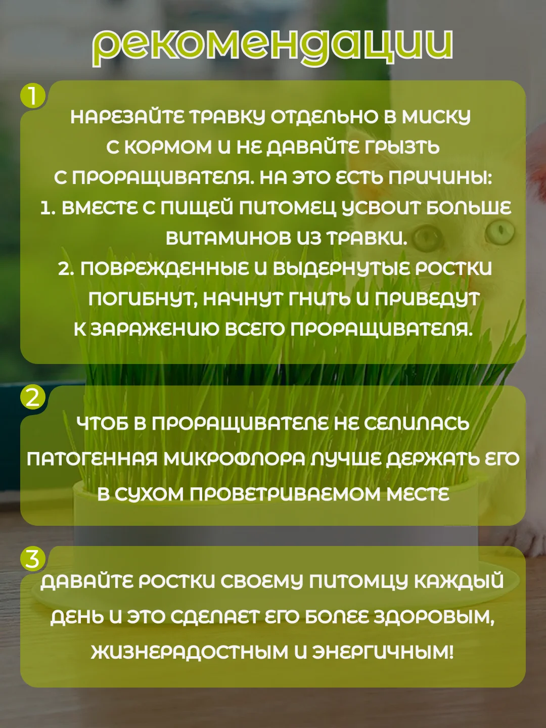Желтый миска для выращивания травы, для кошек, проращиватель травы