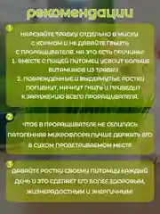 Желтый миска для выращивания травы, для кошек, проращиватель травы