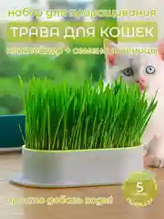 Желтый миска для выращивания травы, для кошек, проращиватель травы