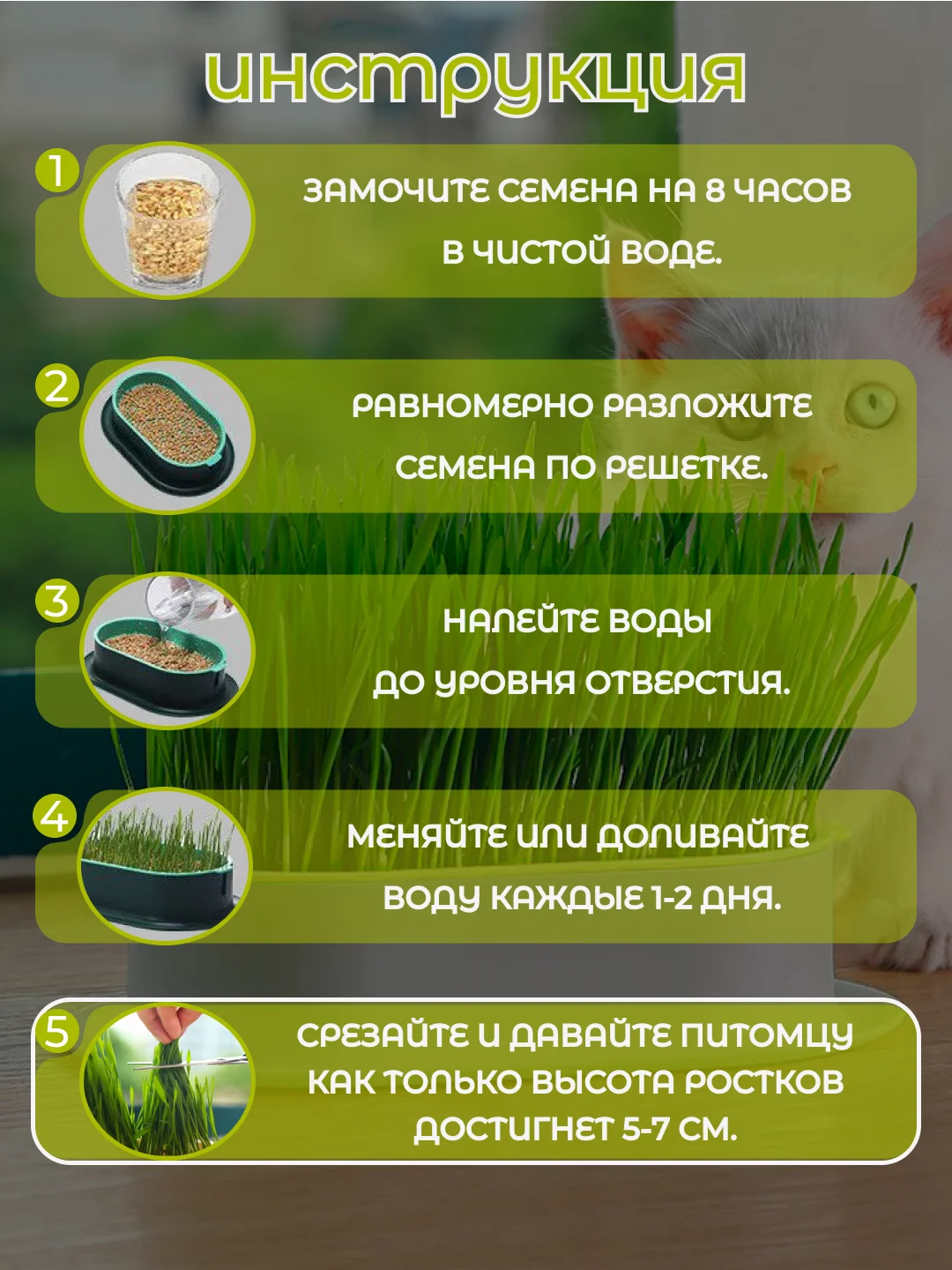 Желтый миска для выращивания травы, для кошек, проращиватель травы