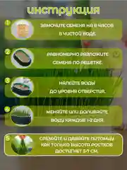 Желтый миска для выращивания травы, для кошек, проращиватель травы