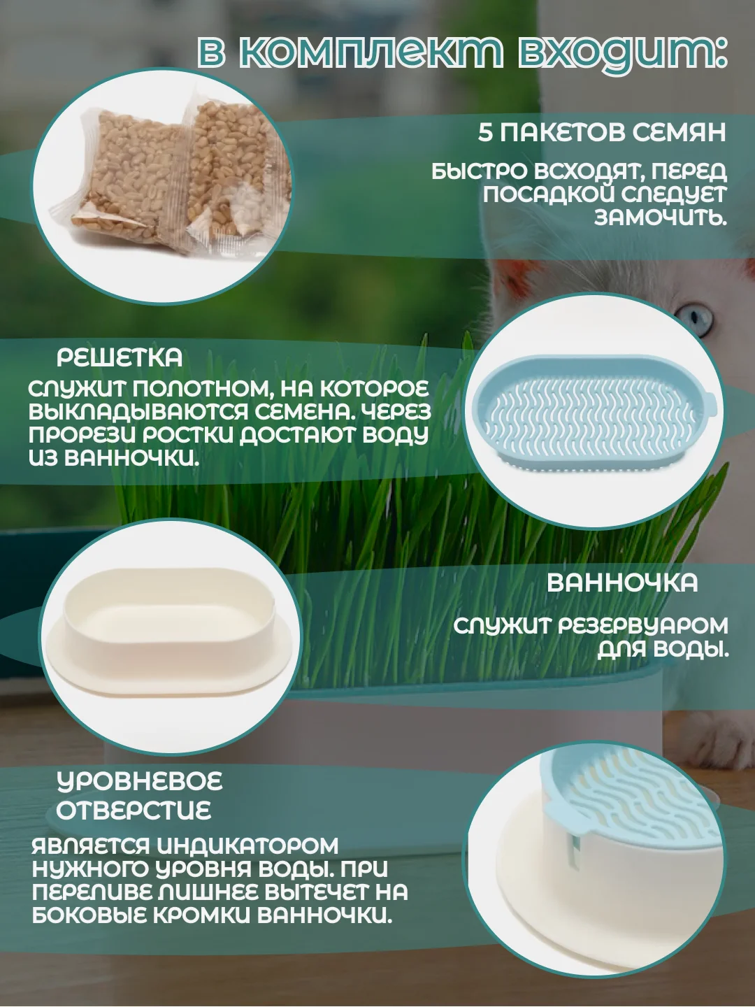 Голубой миска для выращивания травы, для кошек, проращиватель травы