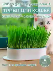 Голубой миска для выращивания травы, для кошек, проращиватель травы