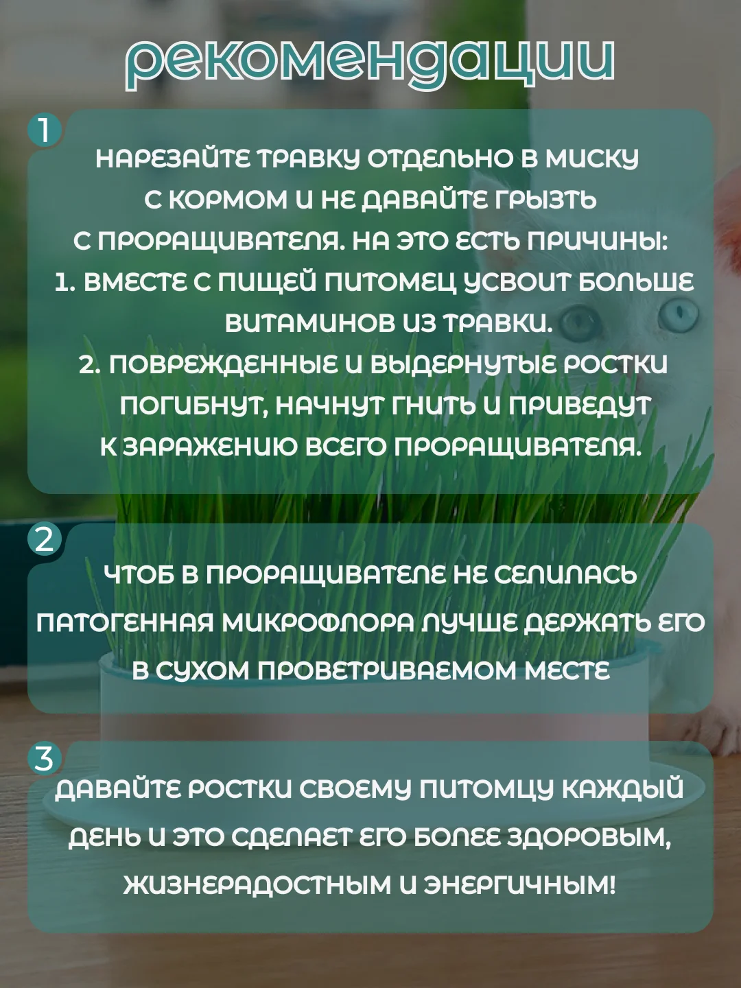 Голубой миска для выращивания травы, для кошек, проращиватель травы