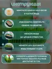 Голубой миска для выращивания травы, для кошек, проращиватель травы