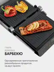Гриль-духовка RED solution COLORSENSE SteakPRO G830D, 2000 Вт