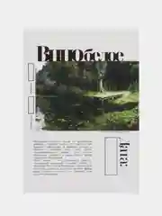 Тёмно-зелёный этикетки на бутылку, самоклеящиеся, 5/10 штук